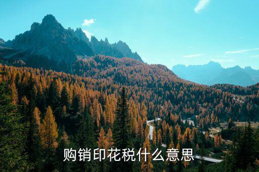 什么是購銷印花稅，購銷印花稅什么意思