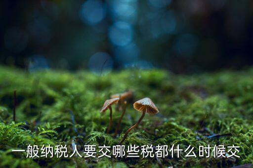 一般納稅人什么時(shí)候交稅，一般納稅人 普通發(fā)票開具后多長時(shí)間繳稅