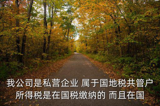 國(guó)地共管需要叫什么稅，國(guó)稅地稅共管公司都需要每個(gè)月報(bào)稅嗎意思就是說(shuō)我每個(gè)月地稅