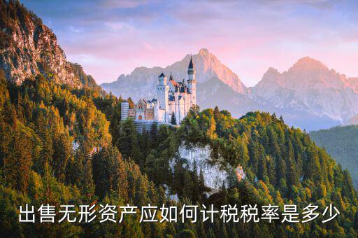 出售無形資產(chǎn)交什么稅，出售無形資產(chǎn)應(yīng)如何計稅稅率是多少