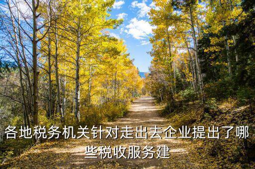 各地稅務機關針對走出去企業(yè)提出了哪些稅收服務建