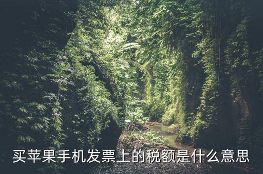 發(fā)票上的稅額是什么意思，買蘋果手機發(fā)票上的稅額是什么意思