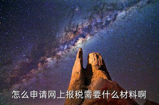 網(wǎng)上國(guó)稅報(bào)稅需要什么資料，怎么申請(qǐng)網(wǎng)上報(bào)稅需要什么材料啊