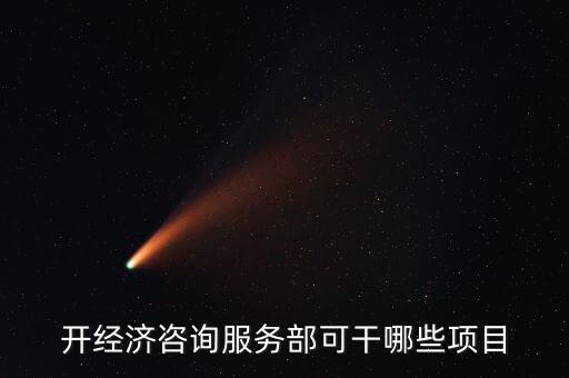 咨詢服務有什么進項，開經(jīng)濟咨詢服務部可干哪些項目