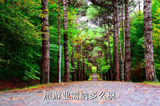 旅游業(yè)是什么稅，旅游行業(yè)需要交納什么稅呢