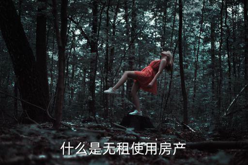 什么是無(wú)租使用房產(chǎn)，請(qǐng)問(wèn)在經(jīng)濟(jì)法里無(wú)租使用房產(chǎn)是什么意思