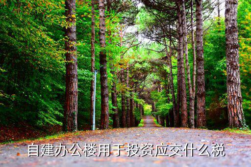 自建辦公樓要交什么稅，自建辦公樓用于投資應交什么稅