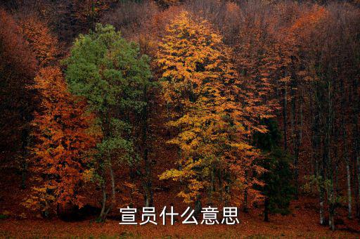 稅宣員是什么意思，宣員什么意思