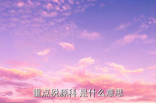 重點稅源科 是什么意思