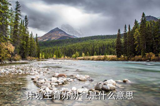 協(xié)查要素是指什么，什么是協(xié)查令