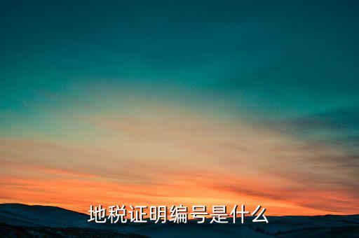 地稅登記序號(hào)是什么，地方稅納稅資料封面上稅務(wù)登記證號(hào)是甚么
