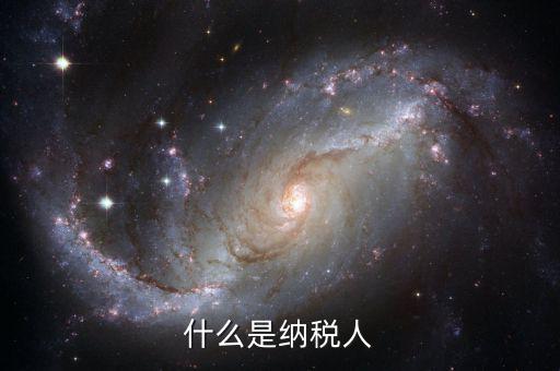 納稅人信息指的是什么，開票票具一直提示請(qǐng)核實(shí)納稅人信息是什么意思