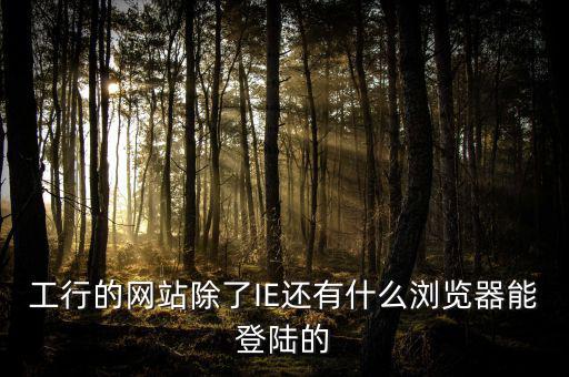 開票登陸的瀏覽器是什么，工行的網(wǎng)站除了IE還有什么瀏覽器能登陸的
