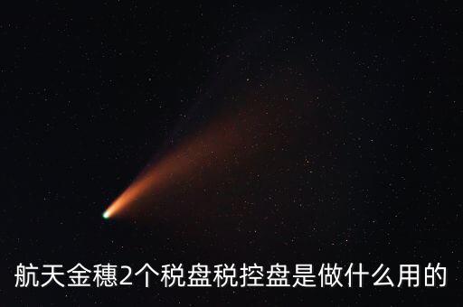 開票軟件兩盤是什么，第二個(gè)金稅盤裝開票軟件裝不了也沒有完全安裝這一步啥意思