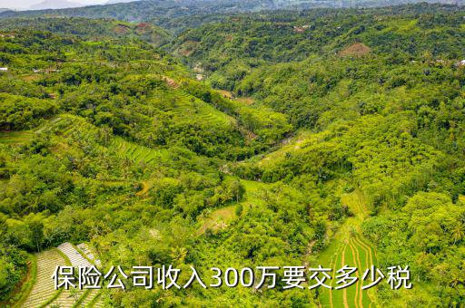 保險(xiǎn)公司交什么稅，保險(xiǎn)公司保險(xiǎn)費(fèi)交營業(yè)稅嗎按5交