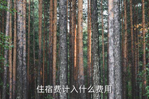 員工住宿費(fèi)計入什么科目，請問住宿費(fèi)和餐費(fèi)報銷會計分錄是什么