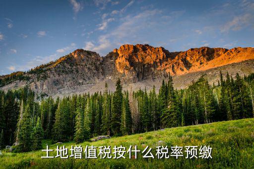 山東省土地增值稅按什么預(yù)繳，山東文登市土地增值稅預(yù)繳稅率是多少