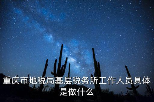 重慶地稅局前臺做什么的，重慶市地稅局基層稅務(wù)所工作人員具體是做什么