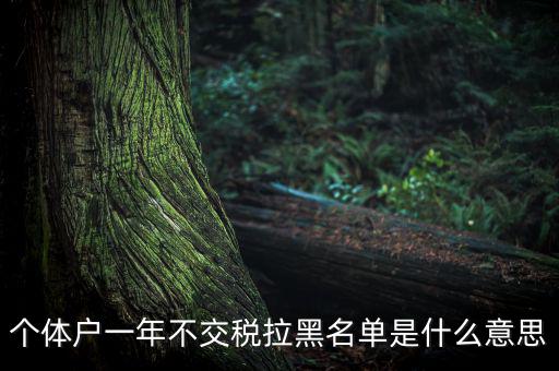 什么是納稅信用黑名單，個(gè)體戶(hù)一年不交稅拉黑名單是什么意思