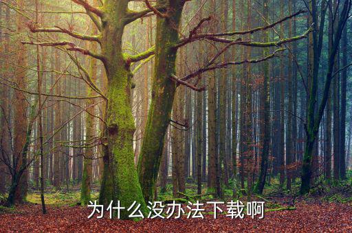為什么沒(méi)辦法下載啊