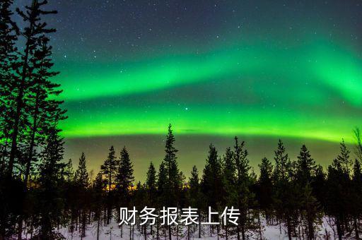 每年上傳什么財(cái)務(wù)報(bào)表，報(bào)哪些稅時(shí)需要上傳財(cái)務(wù)報(bào)表麻煩詳細(xì)一點(diǎn)報(bào)增值稅時(shí)怎樣上傳財(cái)