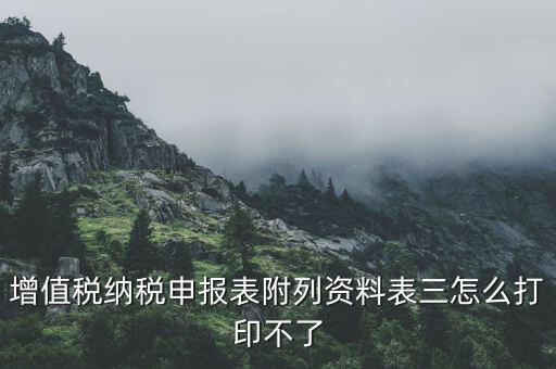 為什么打印不了附加稅申報(bào)表，納稅申報(bào)的報(bào)表打印不出來(lái)怎么辦