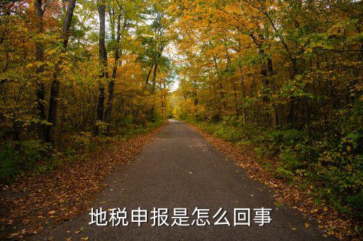 地稅為什么每月申報(bào)，想問下地稅每月都要申報(bào)的我剛接觸這個(gè)不太懂公司也是新開的