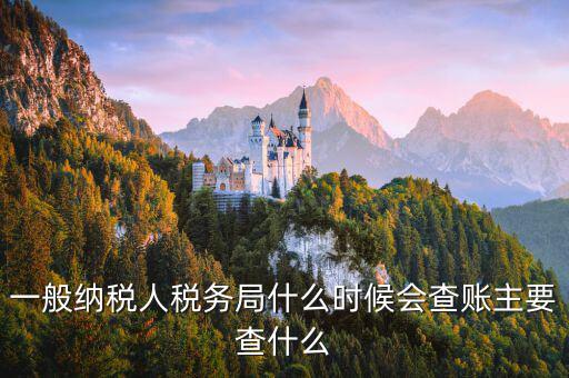 稅局什么時(shí)間搖號稽查，一般納稅人稅務(wù)局什么時(shí)候會查賬主要查什么