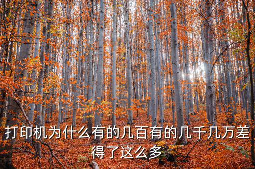 發(fā)票打印機(jī)為什么這么貴，為什么針式打印機(jī)還是那么貴