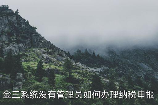 金三申報申報什么意思，申報是什么意思