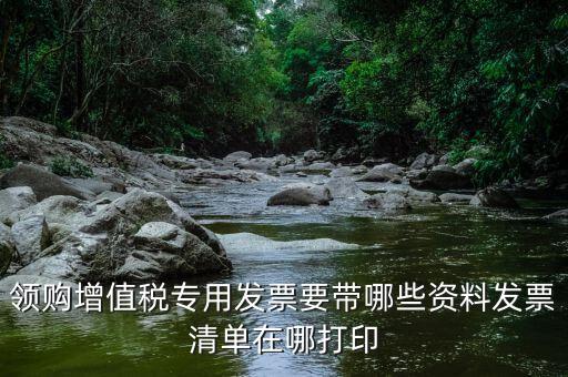 公司領(lǐng)票需要什么資料，領(lǐng)購(gòu)增值稅專用發(fā)票要帶哪些資料發(fā)票清單在哪打印
