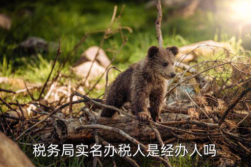 辦稅負(fù)責(zé)人是什么意思，現(xiàn)在實行的辦稅人員實名登記其中的財務(wù)負(fù)責(zé)人辦稅人員發(fā)票經(jīng)辦人