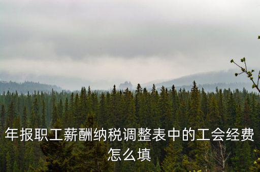 工會經(jīng)費應(yīng)稅項填什么，網(wǎng)上報稅時又多了一項工會經(jīng)費怎樣填寫計算