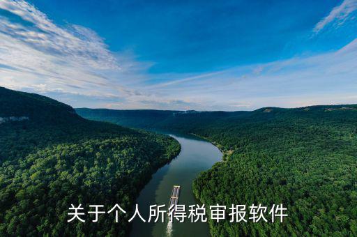 申報(bào)個(gè)稅的APP叫什么，申報(bào)個(gè)稅軟件