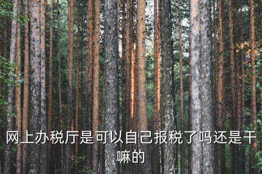 什么是網(wǎng)上辦稅服務(wù)廳，電子申報(bào)管理系統(tǒng)和網(wǎng)上辦稅大廳有什么不同的