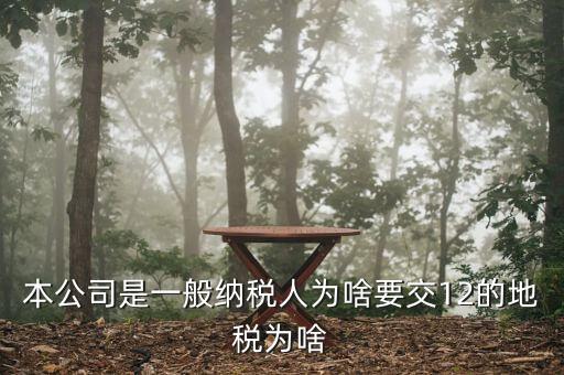 地稅12是什么稅，本公司是一般納稅人為啥要交12的地稅為啥