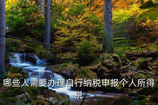 自行申報納稅是什么，所得稅自行納稅申報納稅名詞解釋