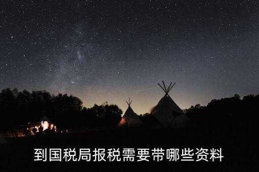 到國稅報稅需要什么資料，到國稅局報稅需要帶哪些資料