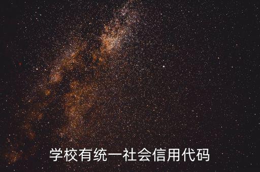 社會識別代碼是什么問題，社會信用代碼是不是納稅人識別號