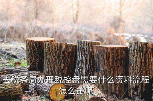 申請(qǐng)稅控盤(pán)需要什么資料，新企業(yè)辦理金稅盤(pán)需要帶什么資料