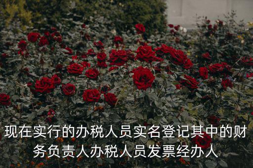 現(xiàn)在實行的辦稅人員實名登記其中的財務負責人辦稅人員發(fā)票經辦人