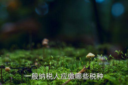 一般納稅人國稅申報(bào)什么稅種，在國稅申報(bào)的稅種有哪些稅率是多少