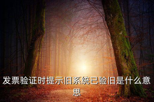 發(fā)票的驗舊時間是什么意思，發(fā)票驗證時提示舊系統(tǒng)已驗舊是什么意思