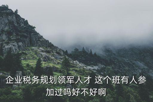 稅務領軍人才做什么，常溫下超導體可用來做什么