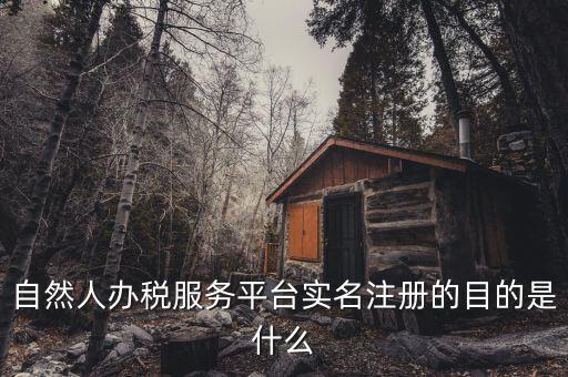 辦稅平臺(tái)是什么，山東省國(guó)家稅務(wù)局網(wǎng)上辦稅平臺(tái) 域名多少