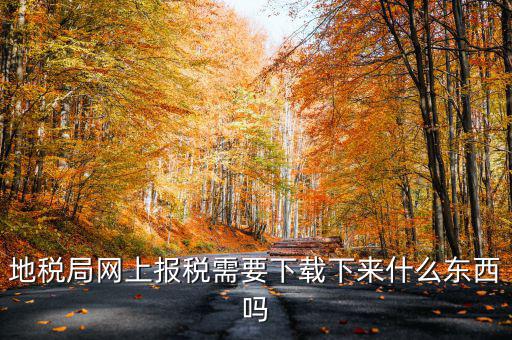 辦地稅都需要什么軟件，地稅網(wǎng)上申報軟件