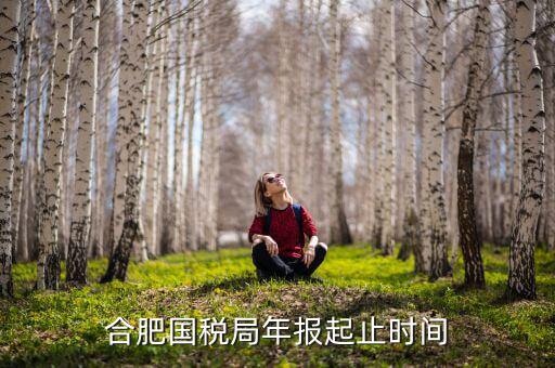 安徽合肥每月報(bào)稅什么時(shí)間，合肥國(guó)稅局年報(bào)起止時(shí)間