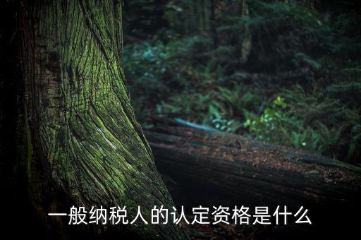 一般納稅人資格證是什么，請(qǐng)問一般納稅人應(yīng)有什么證