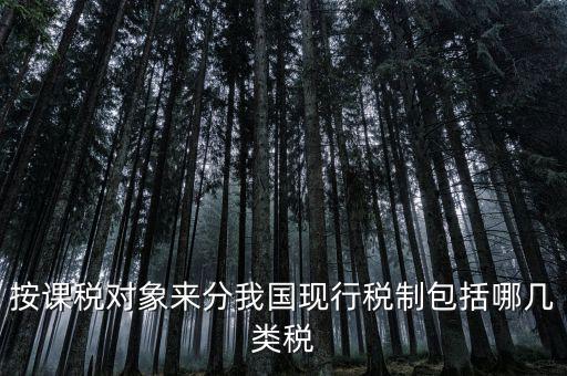 什么是現(xiàn)行稅收制度，說(shuō)明中國(guó)現(xiàn)行稅制增值稅的具體稅制要素有哪些