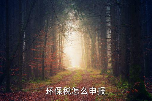 環(huán)境保護(hù)稅按什么申報(bào)，環(huán)保稅怎么申報(bào)